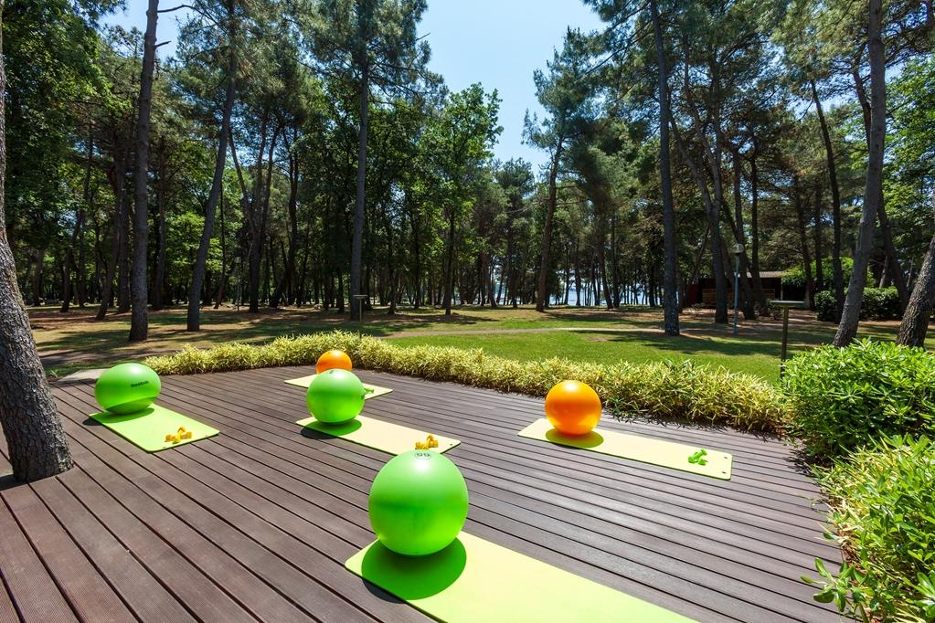 Hotel Pelegrin Plava Laguna (Adults Only) Umag Faciliteter billede